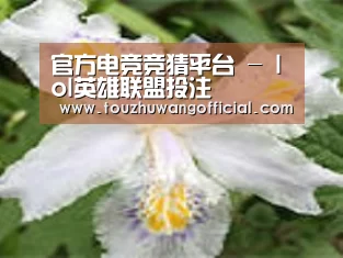 产品名称二