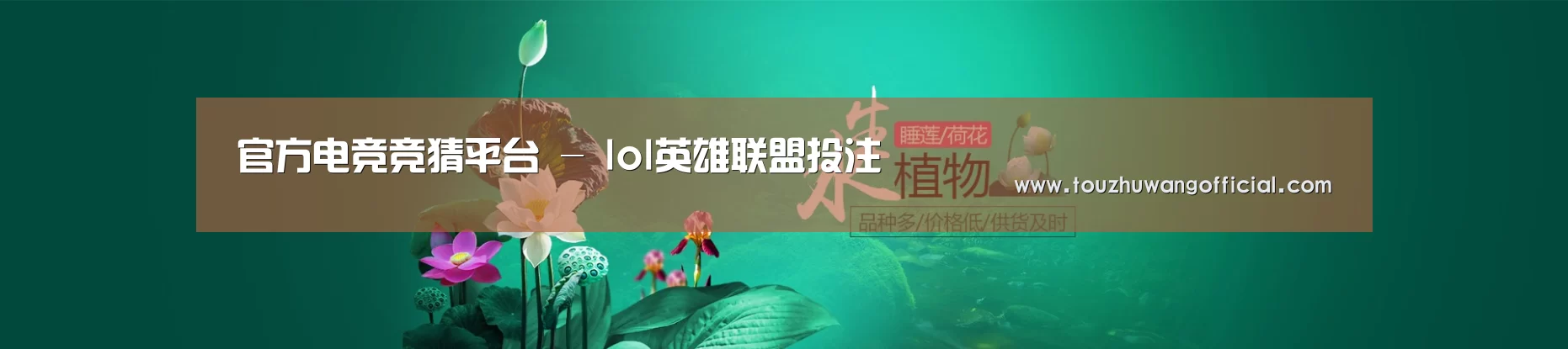 鲜花水草花卉网站模板