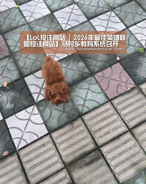 电竞赛事