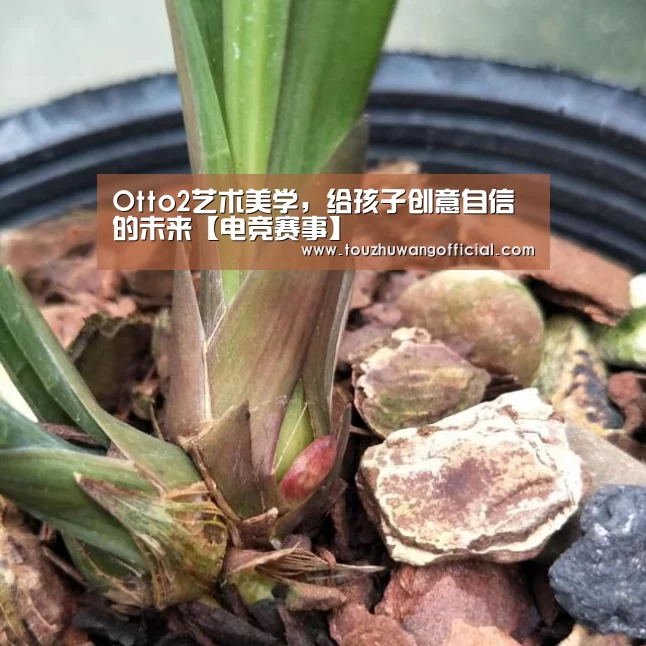 2026年最佳英雄联盟投注网站